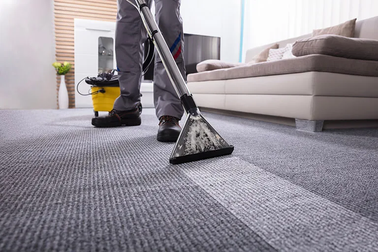 Carpet being cleaned with a hot water extraction wand, leaving a clean stripe
